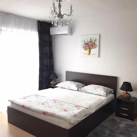 Apartament Pensiunea Mami 2